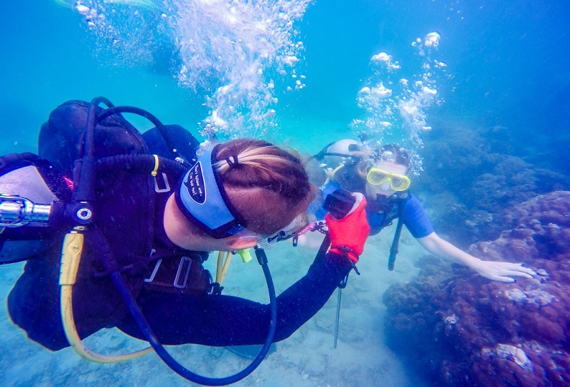 Diving in Pattaya 11