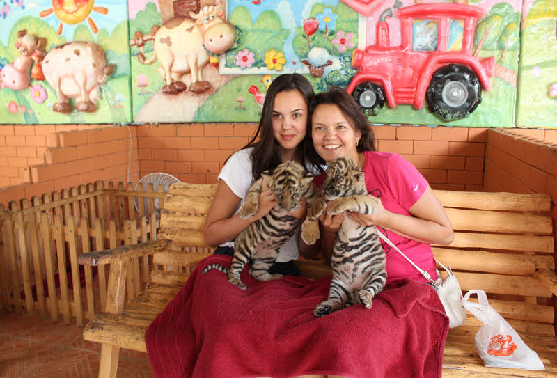 Private Discovery Tour 8 in 1 from Pattaya 1