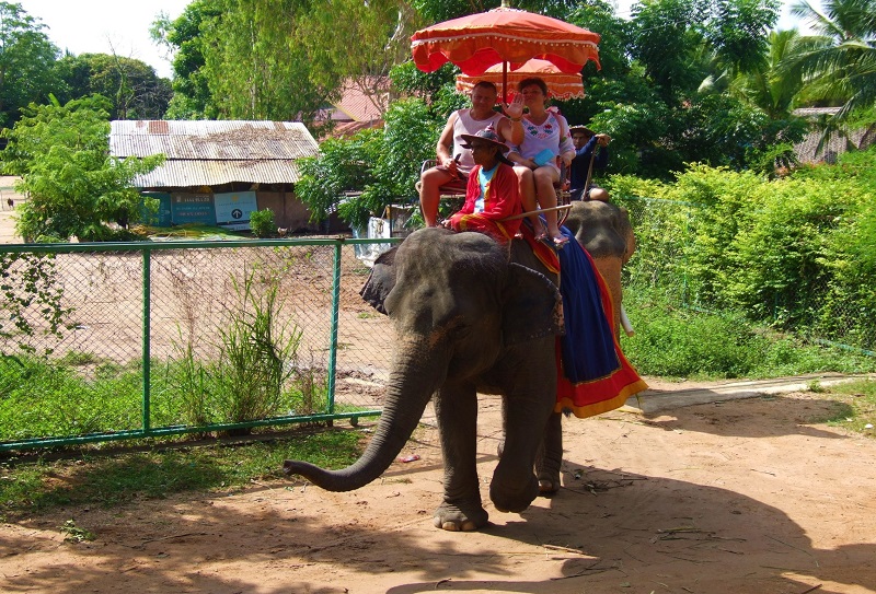 The Family Tour from Pattaya 1