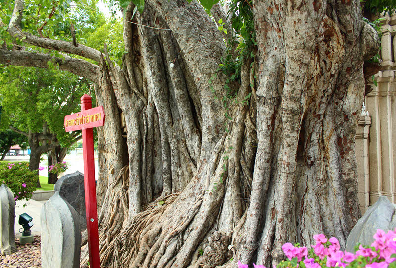 Safe holiday in Pattaya.