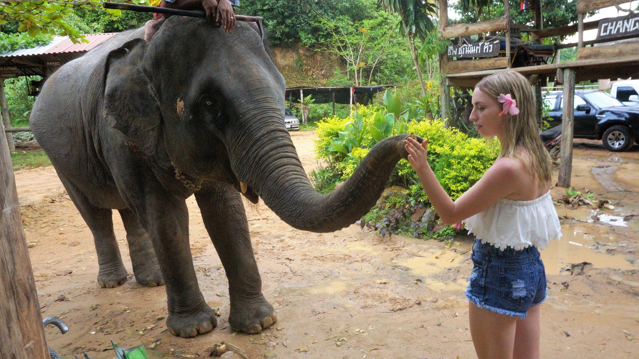  Elephant trecking