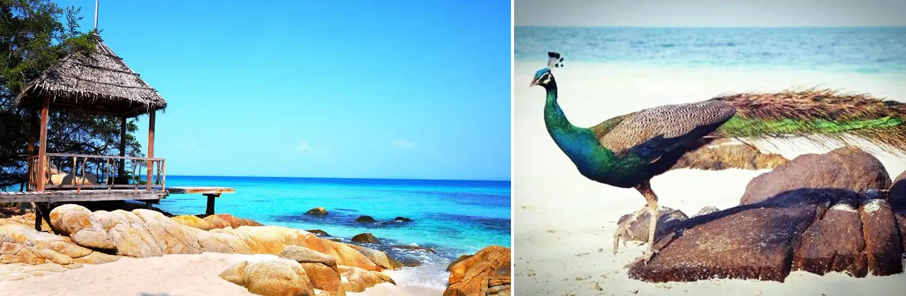 The Maldives of Thailand Tour from Pattaya